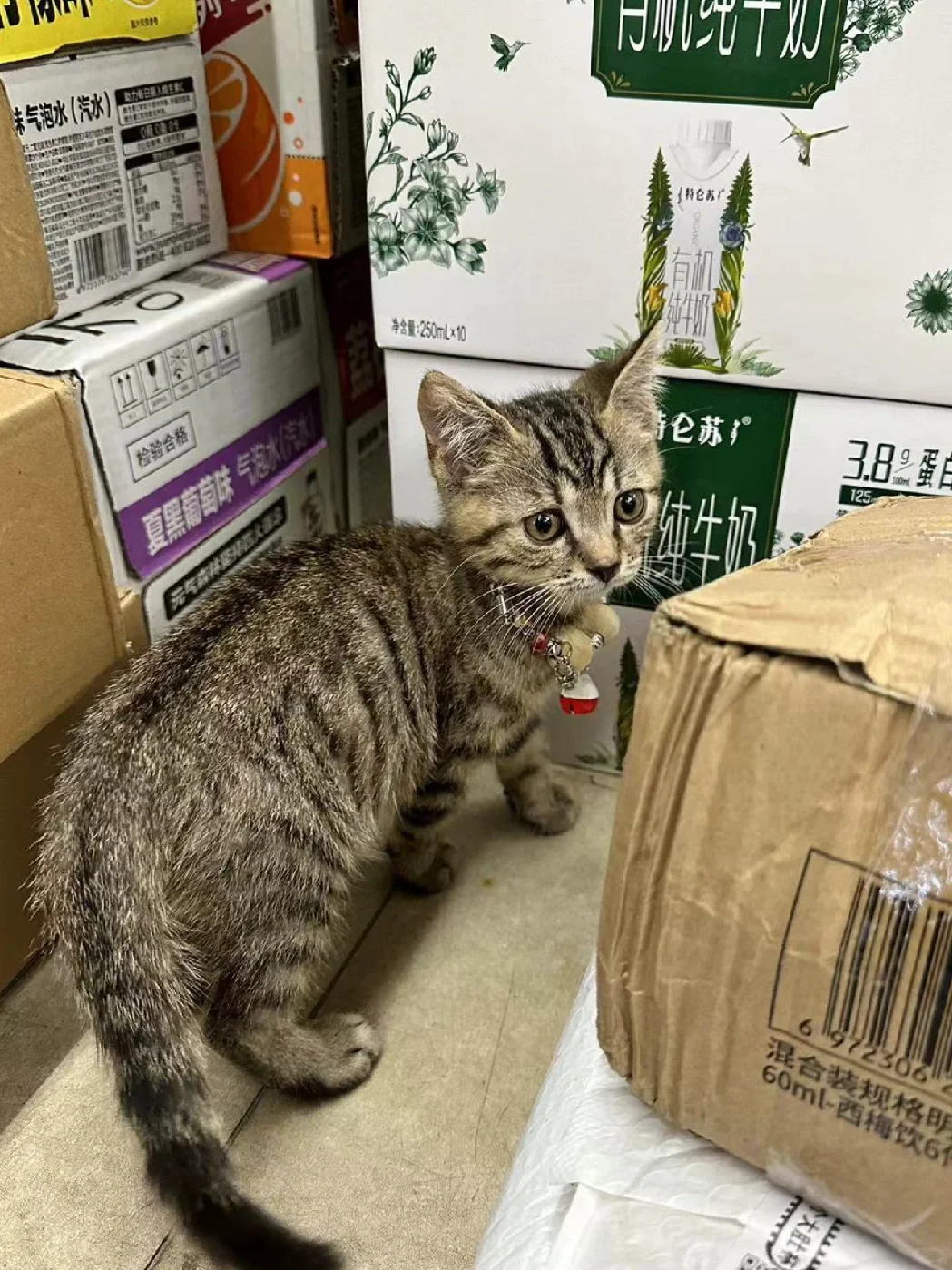 泥嚎！买牛奶吗？☝️客人自重，不要动手动脚