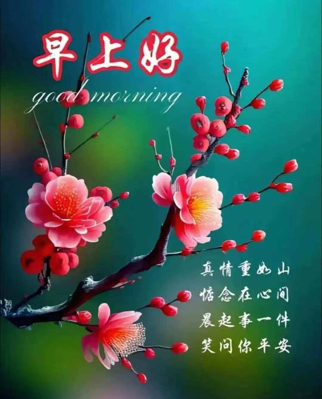 看淡人间事，
潇洒天地间。
朋友如山重，
情谊大无边。
余生有牵挂，
相互都平安