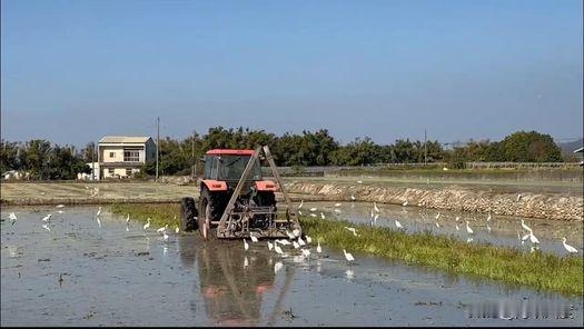 蔡壁如」：我准备好上工了。蔡壁如被证实任职台中市府后，于社交媒体PO文引网友一片