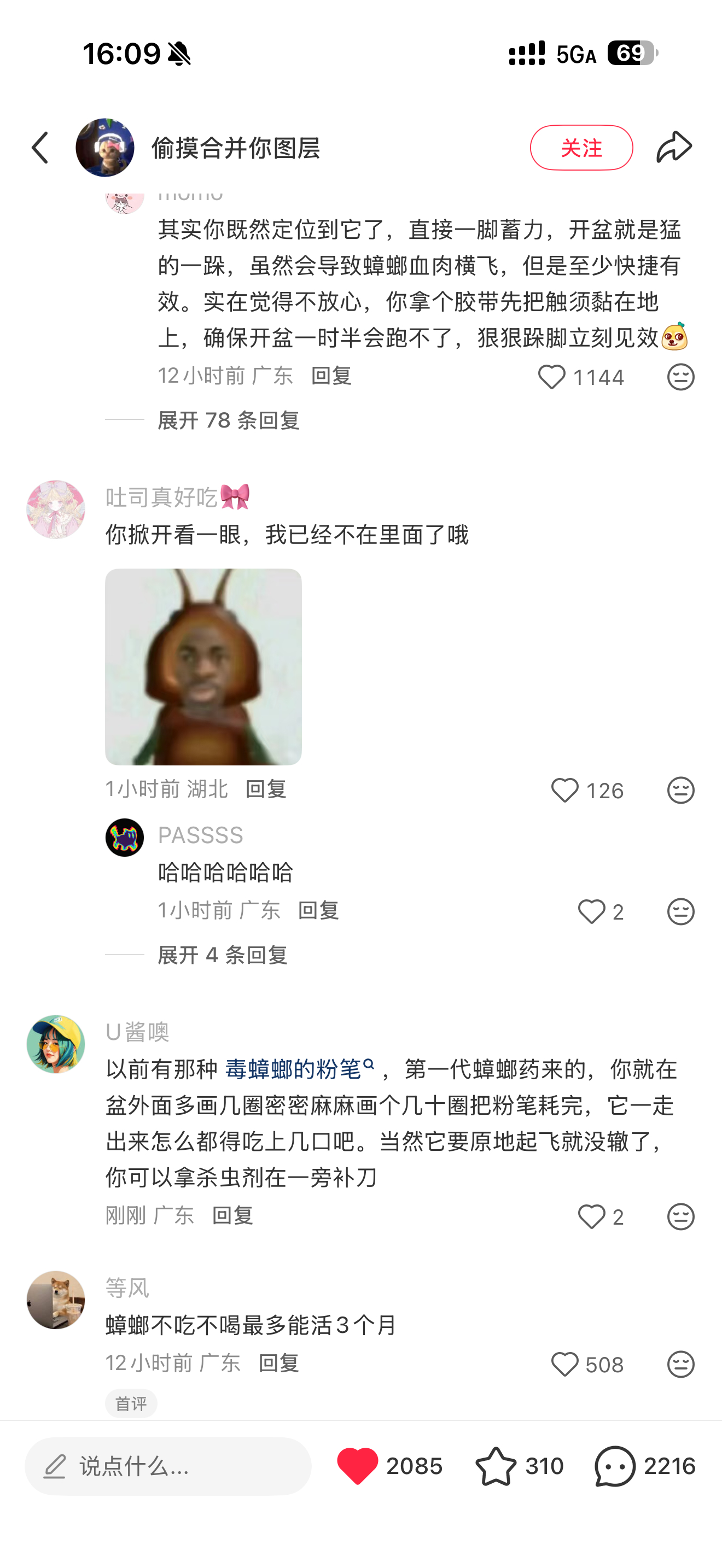 蟑螂不吃不喝能活三个月吗？！！！！！！这也太吓人了吧！！！！！！ 