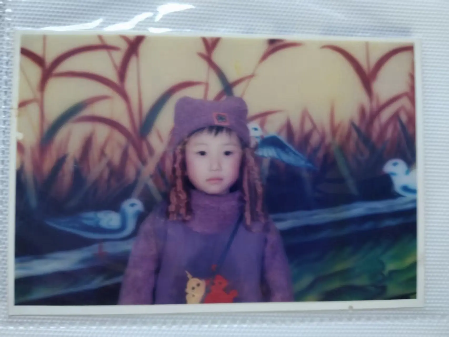 where is my绫波丽。天线宝宝长大了，也是女大十八变了