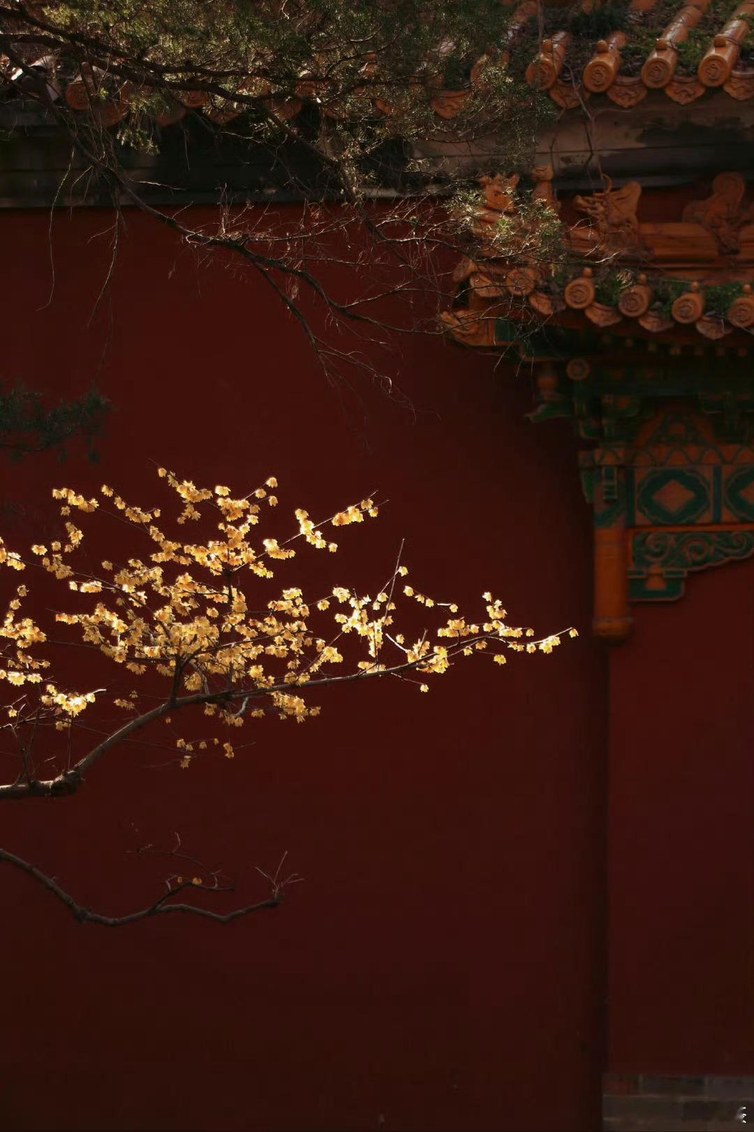 王鹤棣[超话]‍阳光信用 丨‎每日一善 弘扬爱国主义精神，必须坚持立足民族又面向