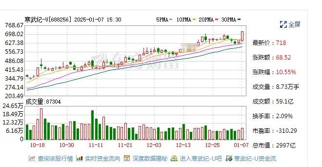 今天，在TMT板块带动下，A股迎来反弹。龙头股寒武纪上涨10.55%，刷新历史新