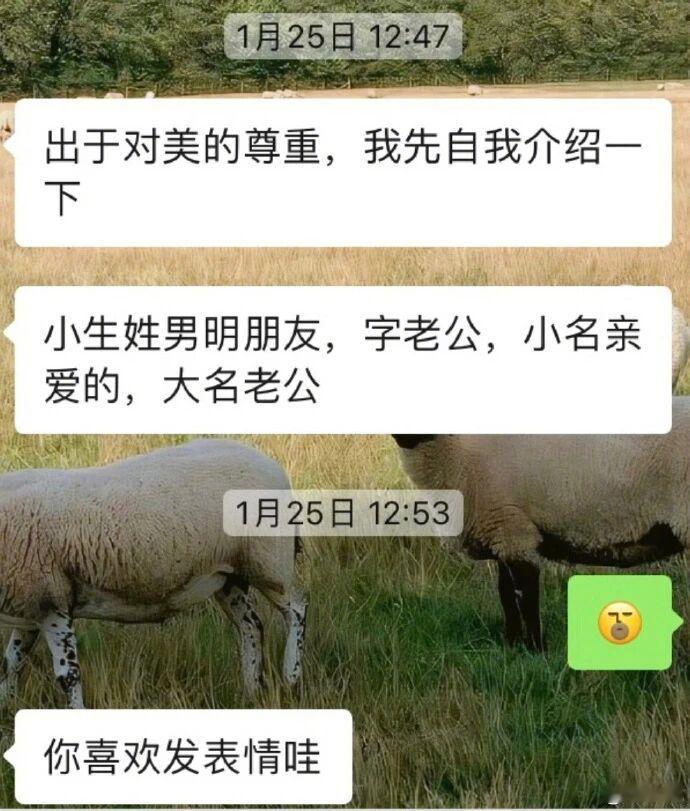哈哈哈哈哈哈受不了了有时候上网也是蛮无助的建议大家相亲刚认识不要说这么多有点没的