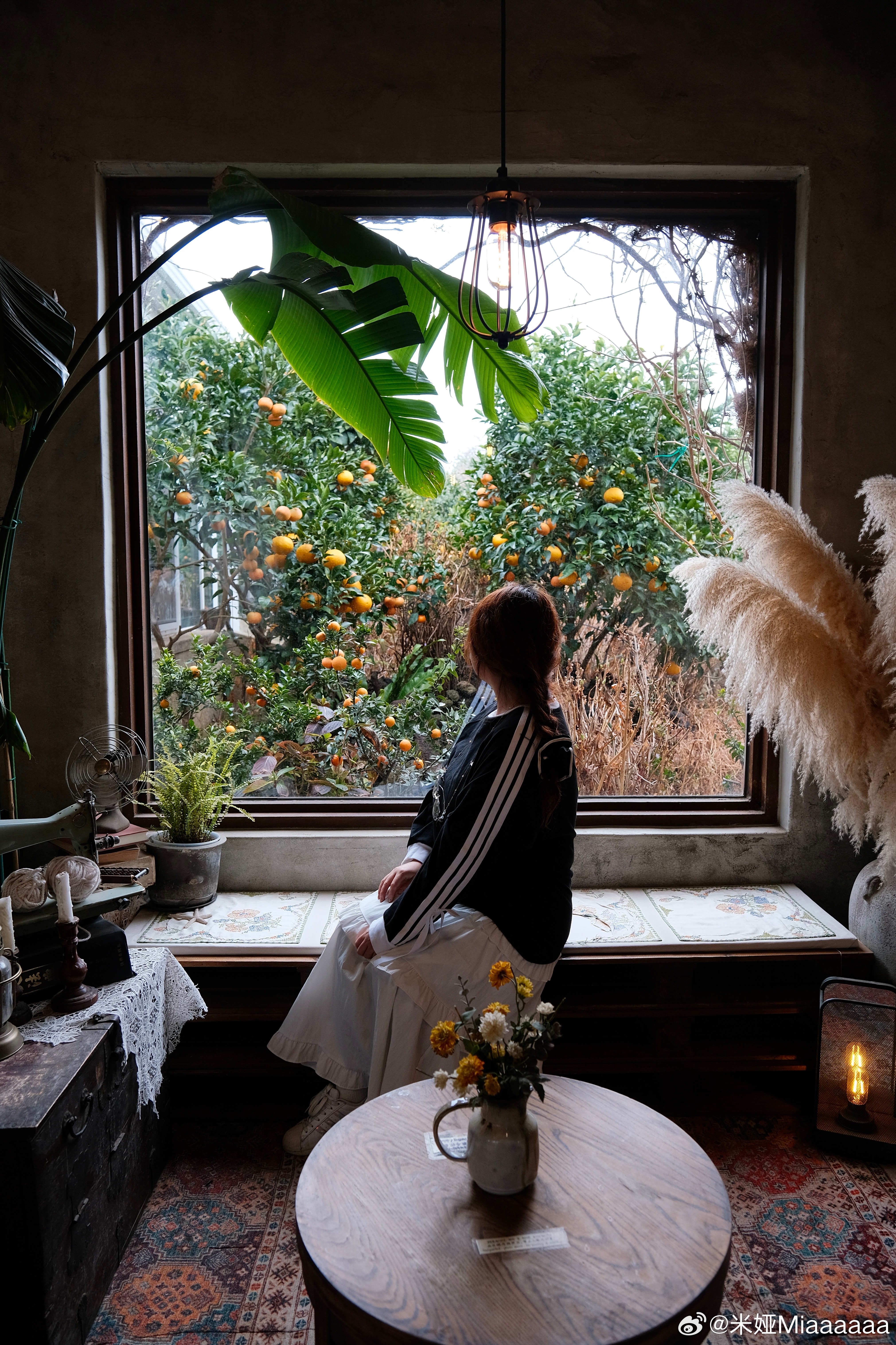 𝐓𝐫𝐚𝐯𝐞𝐥 / 很久之前就刷到过这家韩国济州岛的橘子咖啡店了🍊因