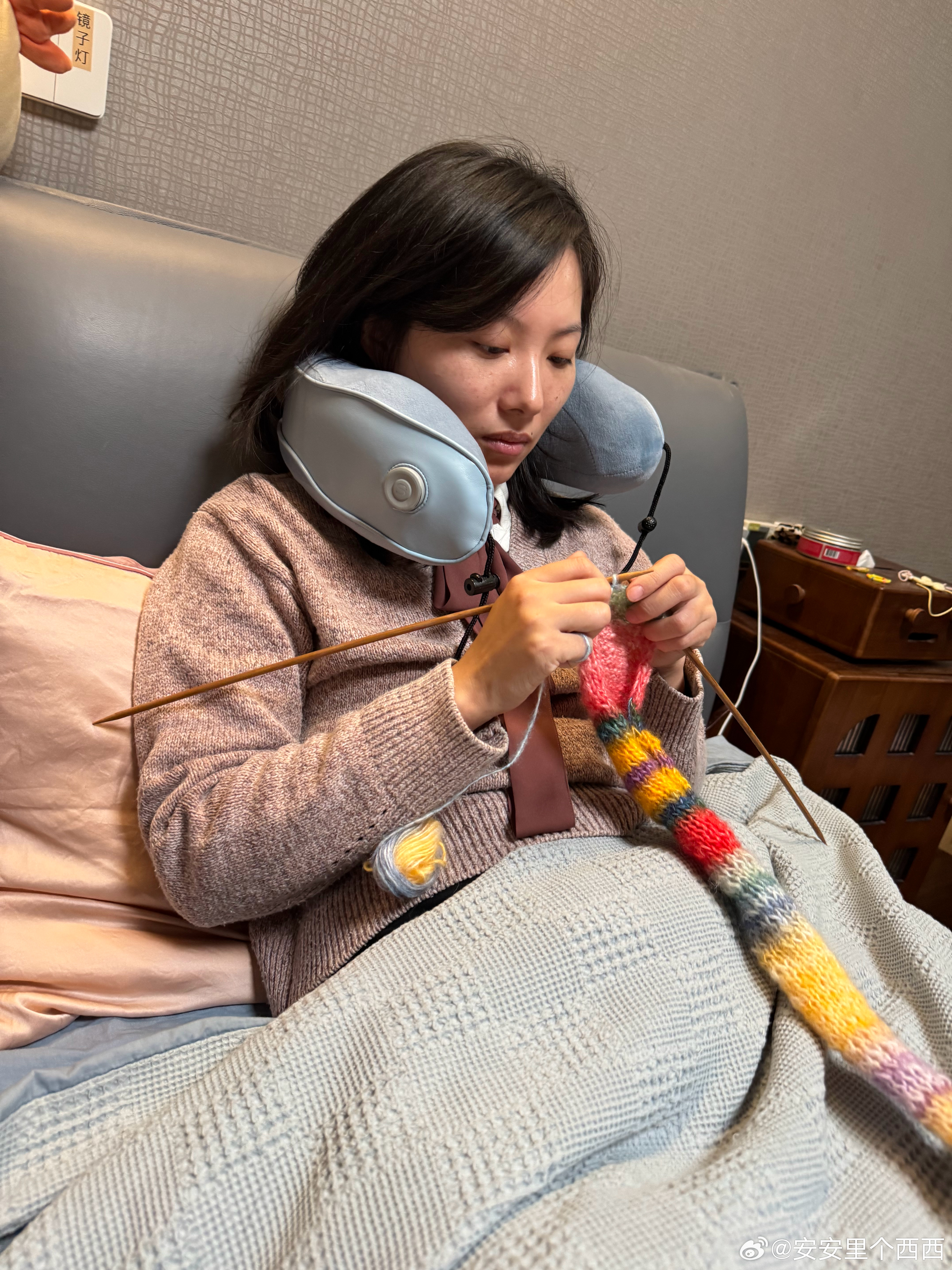 此时此刻我在打毛线阿莫斯在看书安姐在看《小狗钱钱》安姐嘴里咬着牙套西西生活随记给