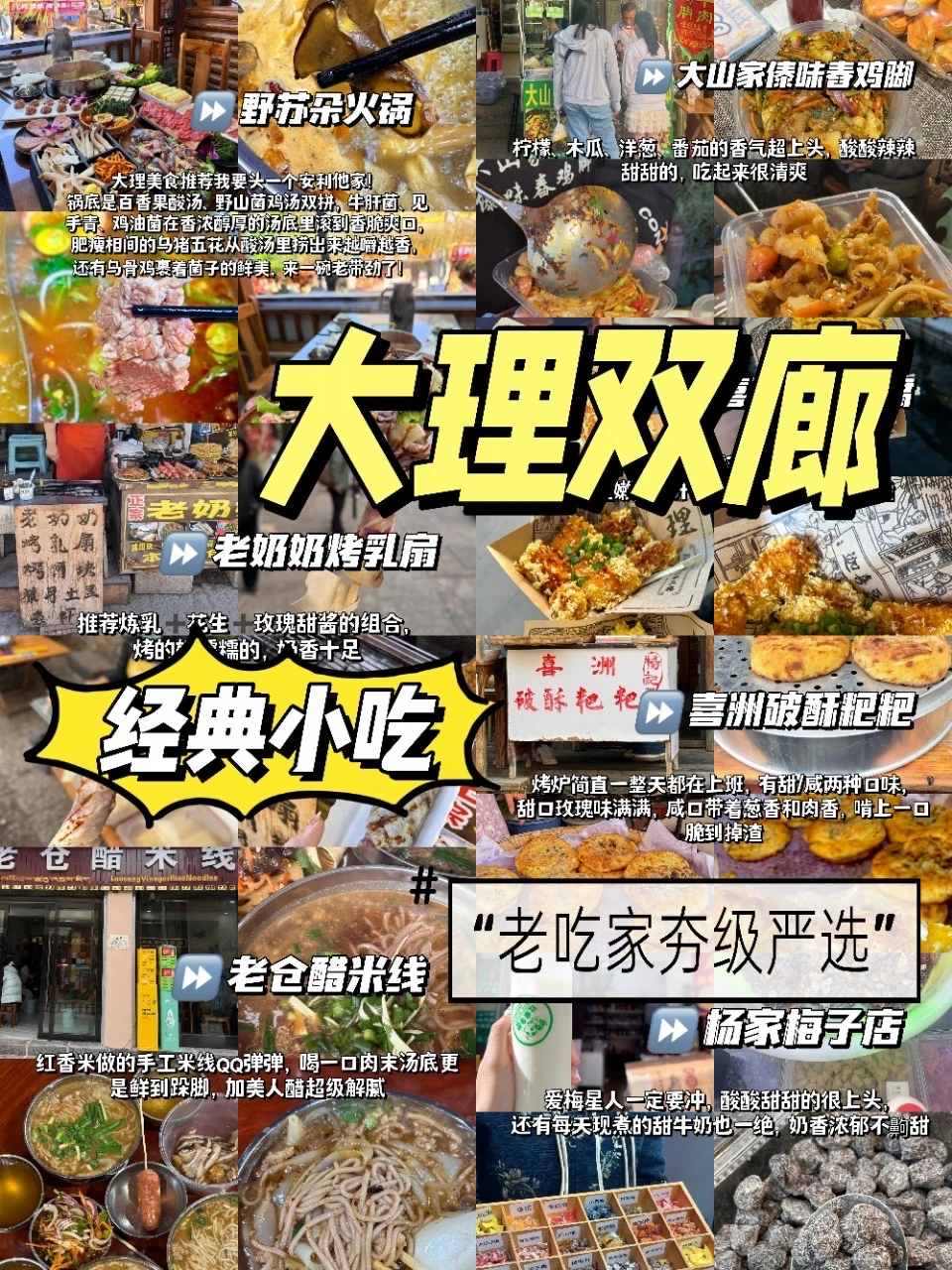 大理双廊吃过这几家你就是编外云南人！👀