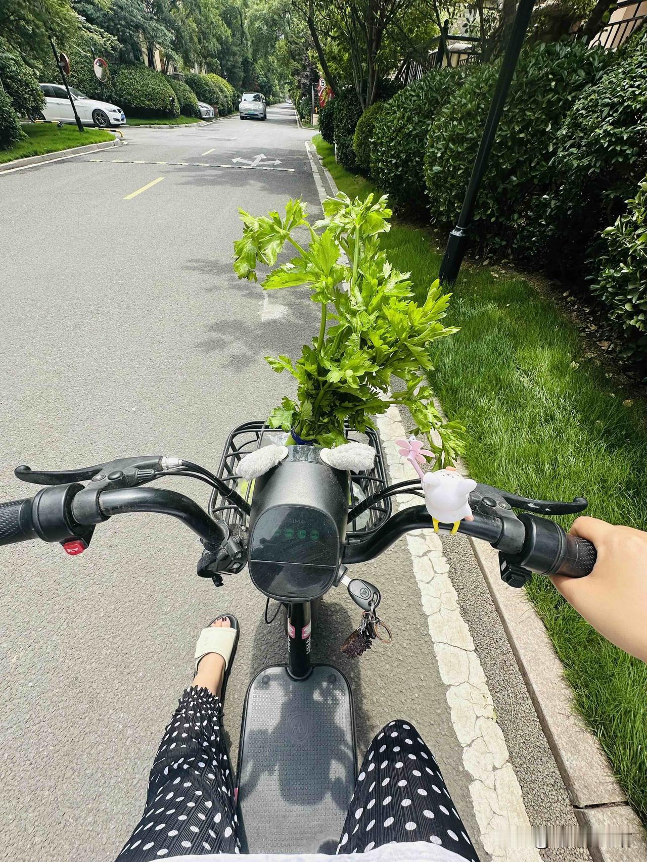 [呲牙][呲牙]
以前没有学会开车的时候我听说过这样一个鄙视链那就是：
开车的看