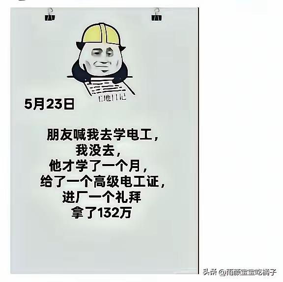 明白了，骨灰级的电工。