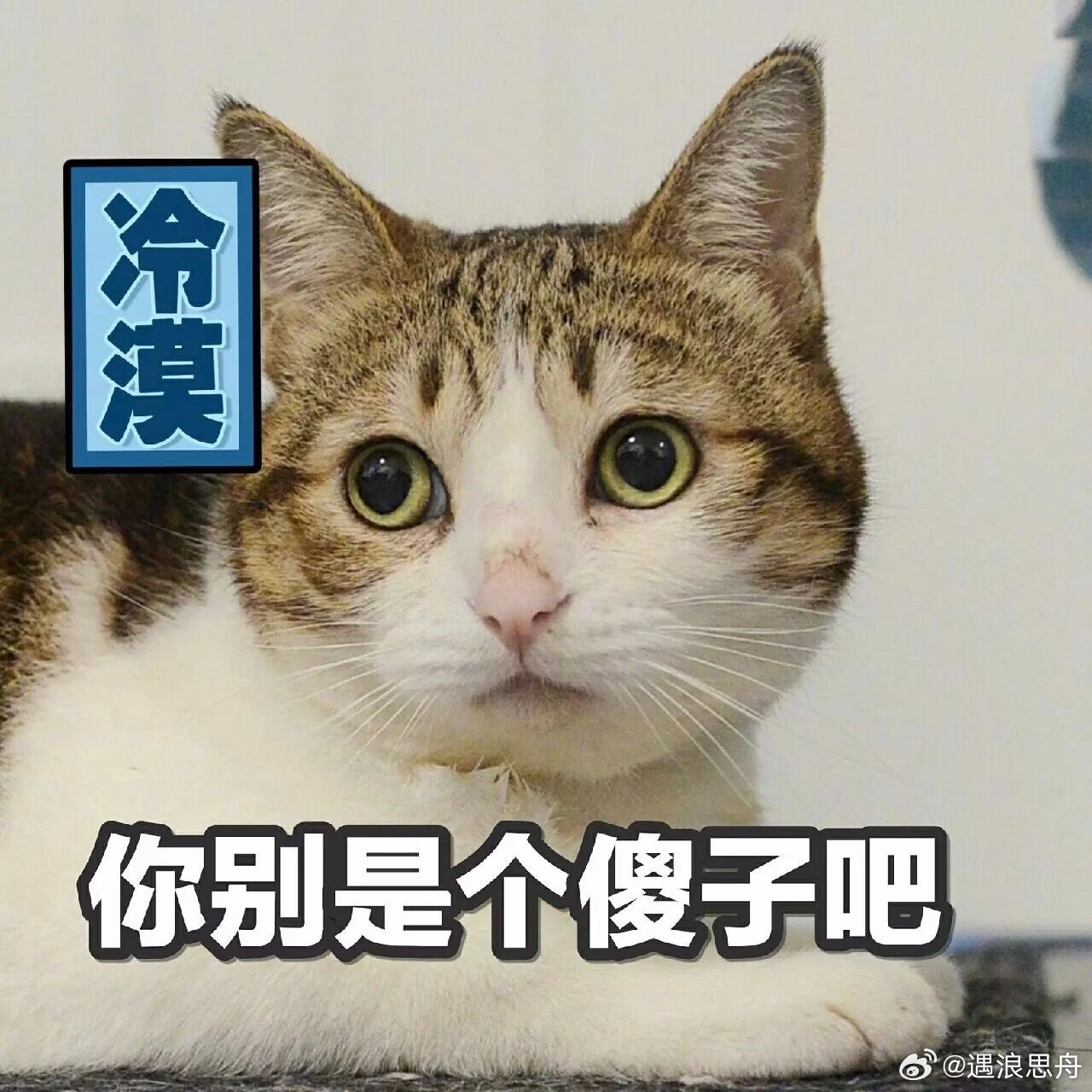 意识到同事不傻只是在逃避工作啊？你说啥？听不懂，啥意思？ 