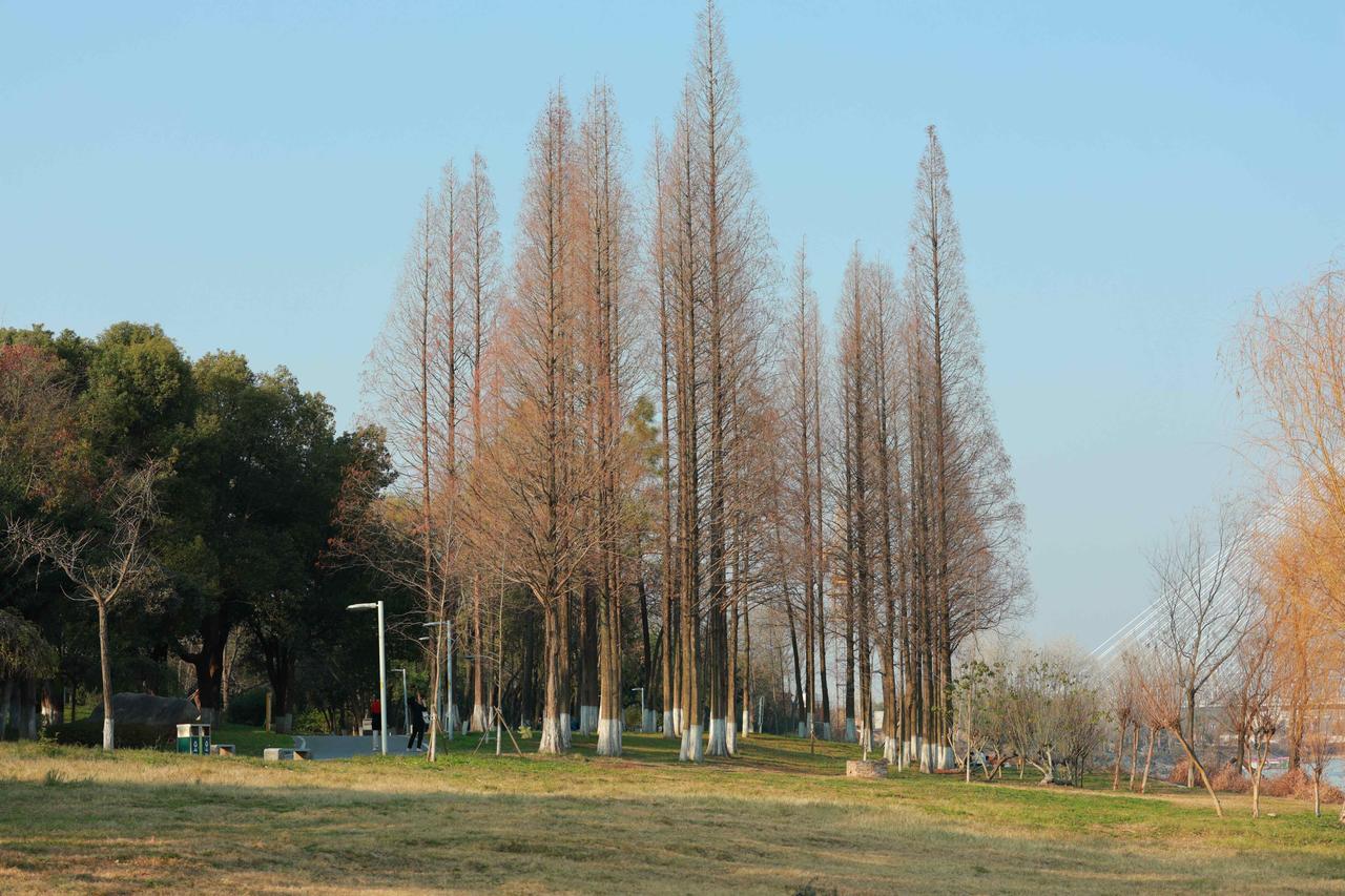 读《近思录》之3.9　

凡一物上有一理，须是穷致其理。穷理亦多端：或读书讲明义