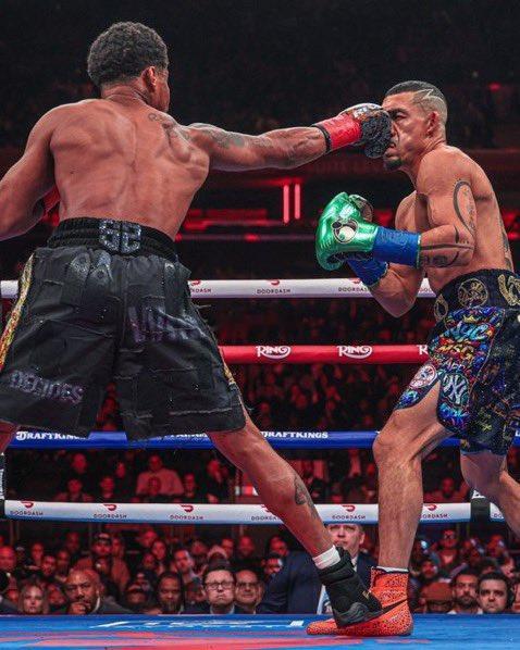 拳坛速递 沙库尔·史蒂文森（Shakur Stevenson）：我的刺拳 如何 