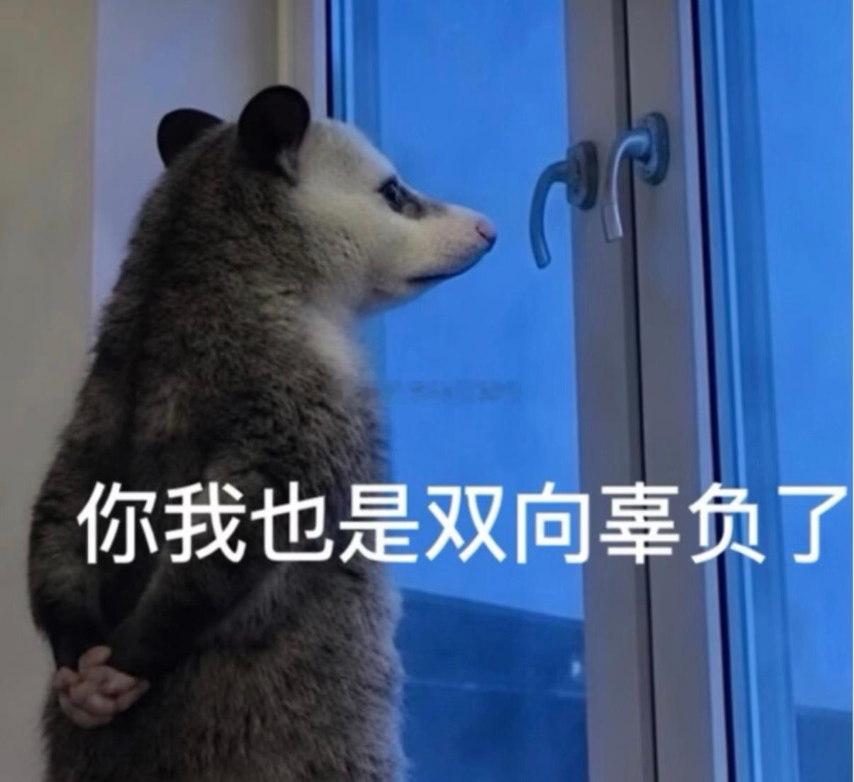 谁来管管我和他洗不到一块去啦（叉腰）洗澡的时候他叫我给他洗🐮我开玩笑说他懒，小