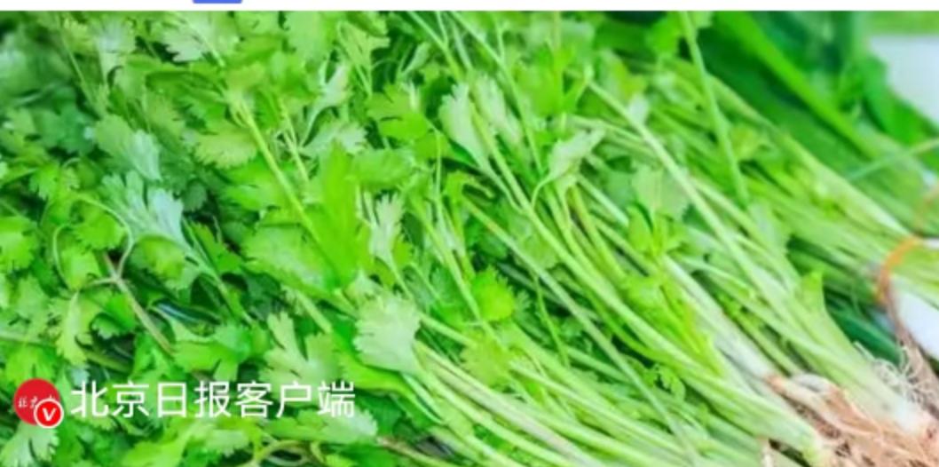 香菜的背叛：你的味蕾，如何悄悄向岁月投降？
餐桌上的一抹翠绿，足以引发一场无声的