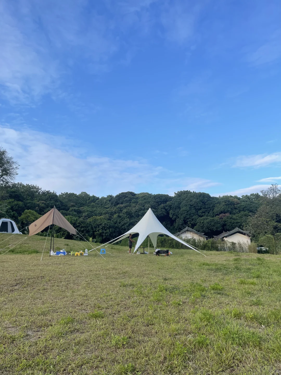 🍃翻山越岭去爱你 | 红茶茶园