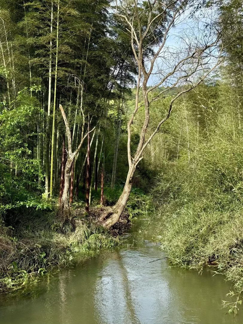 曾经带我烧纸的人变成等我烧纸的魂 