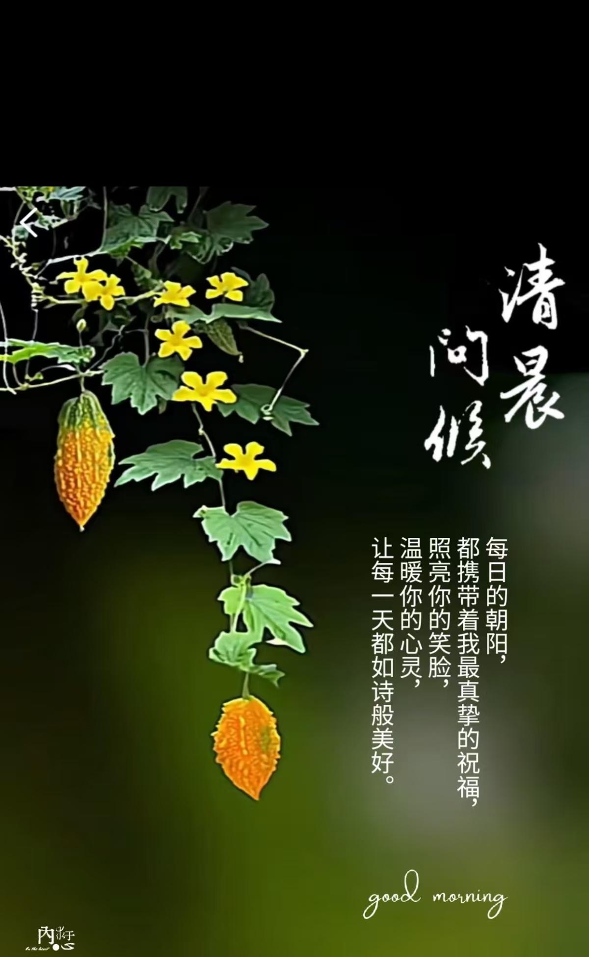 《西江月·寄友人》

牵挂心中实实，
寒暄眼底真真。
惟君日日笑颜匀，
岁岁身安