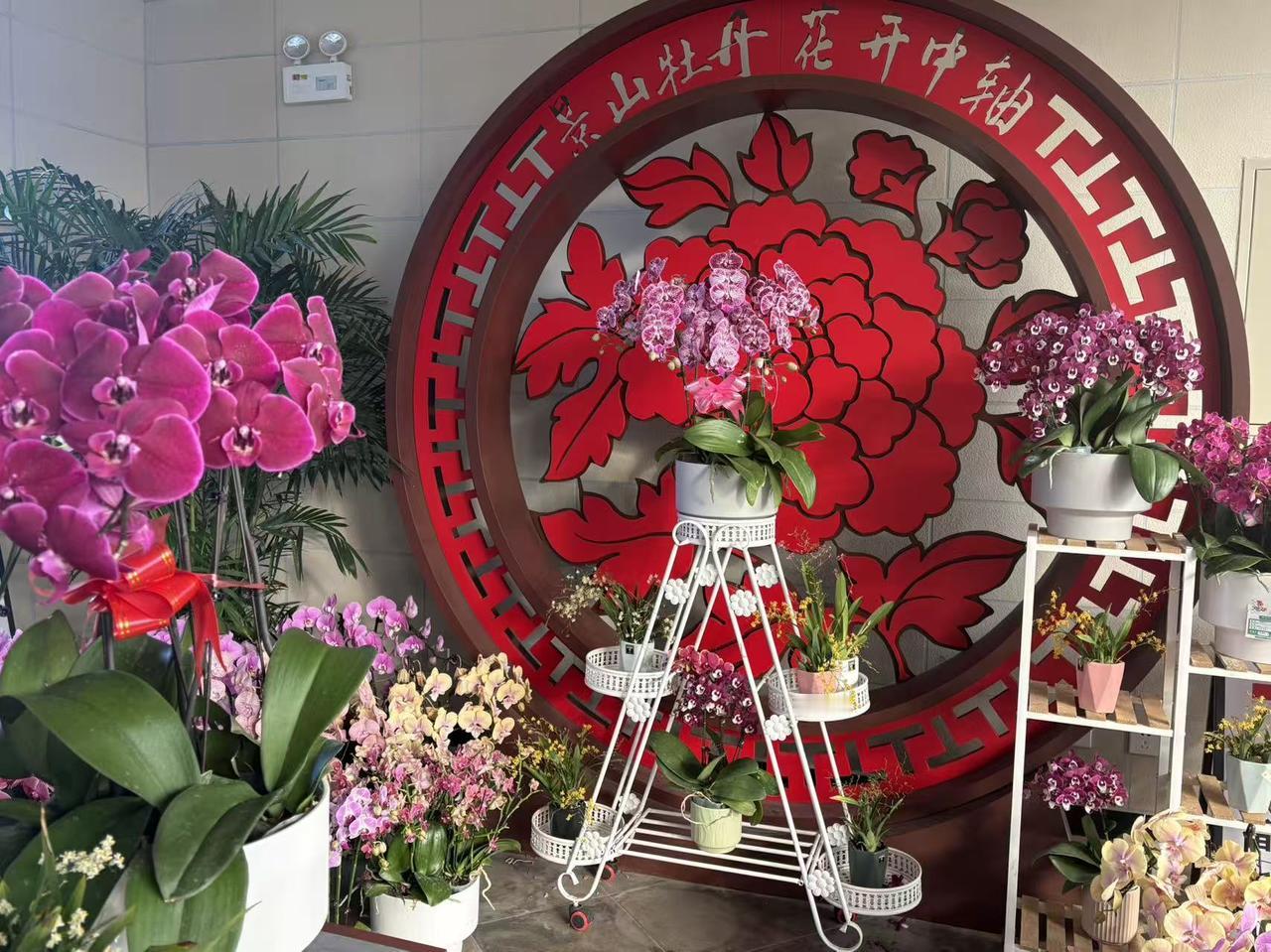 晒图笔记大赛北京景山公园，已张灯结彩