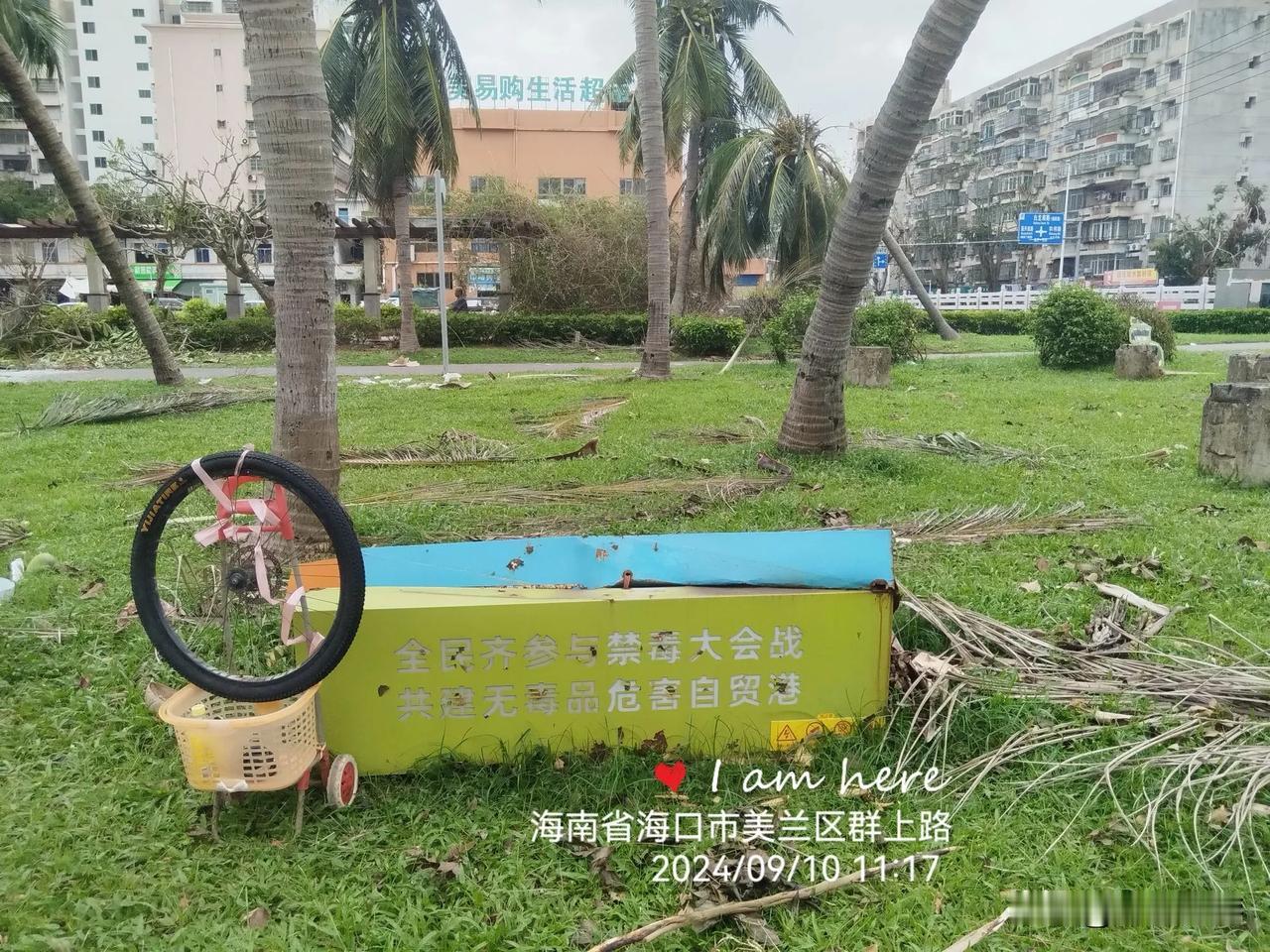 开着三轮车去走路
​自行车的前轮内胎在台风天前就已破裂，我本来是在前天（2024
