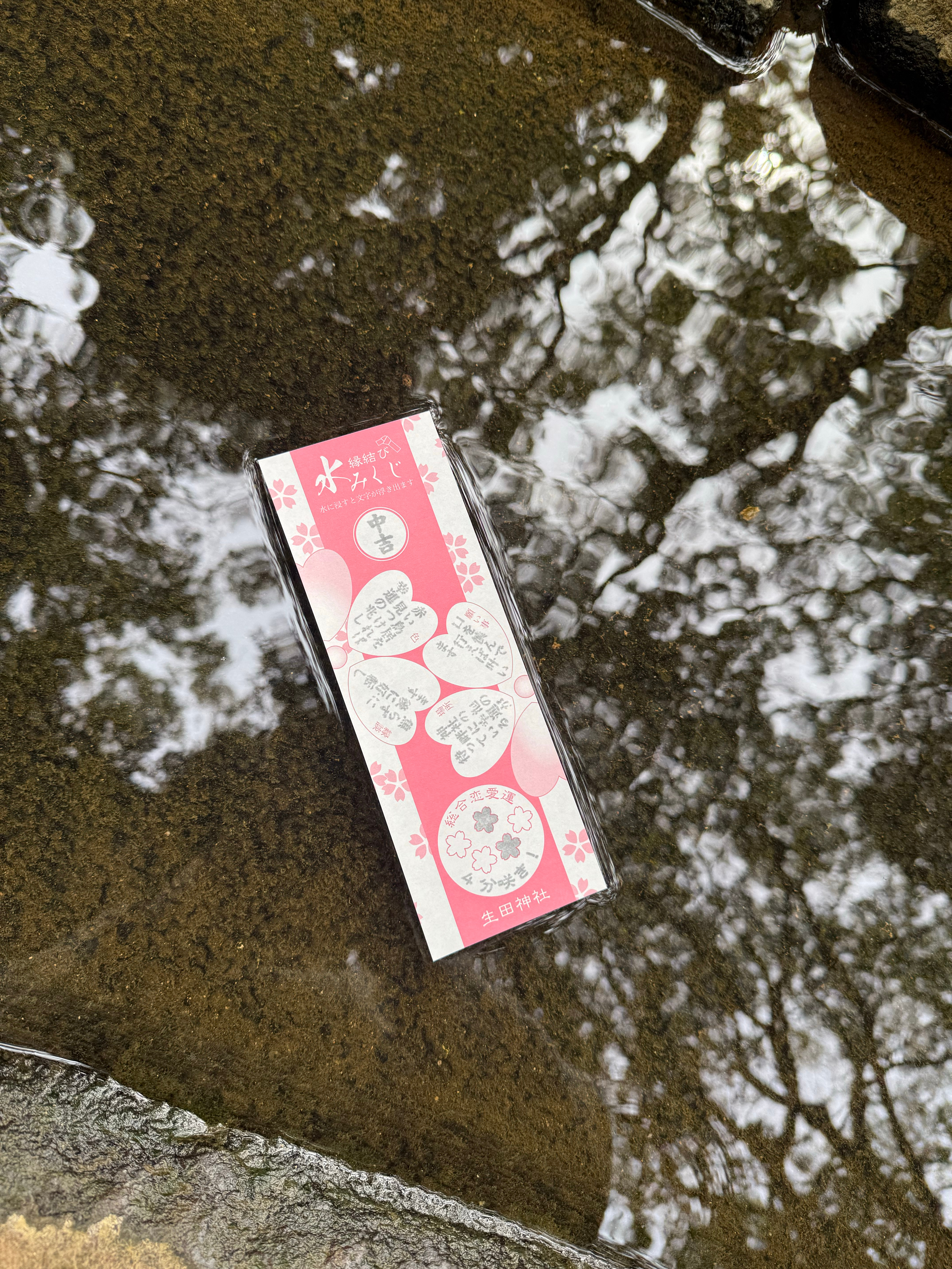 妈妈我的ip怎么又回香港了。。