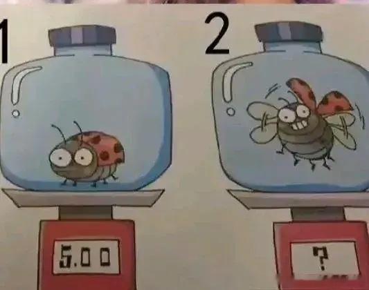 一只虫子在密封瓶子里重5g，如果虫子在瓶子里飞起来重量会变吗？ ​​​