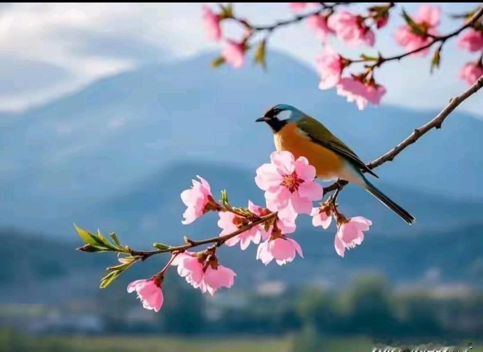 两个陌生男女，相互聊一些隐秘话题，甚至给自对方看自己的隐私部分。这是对自己的不尊