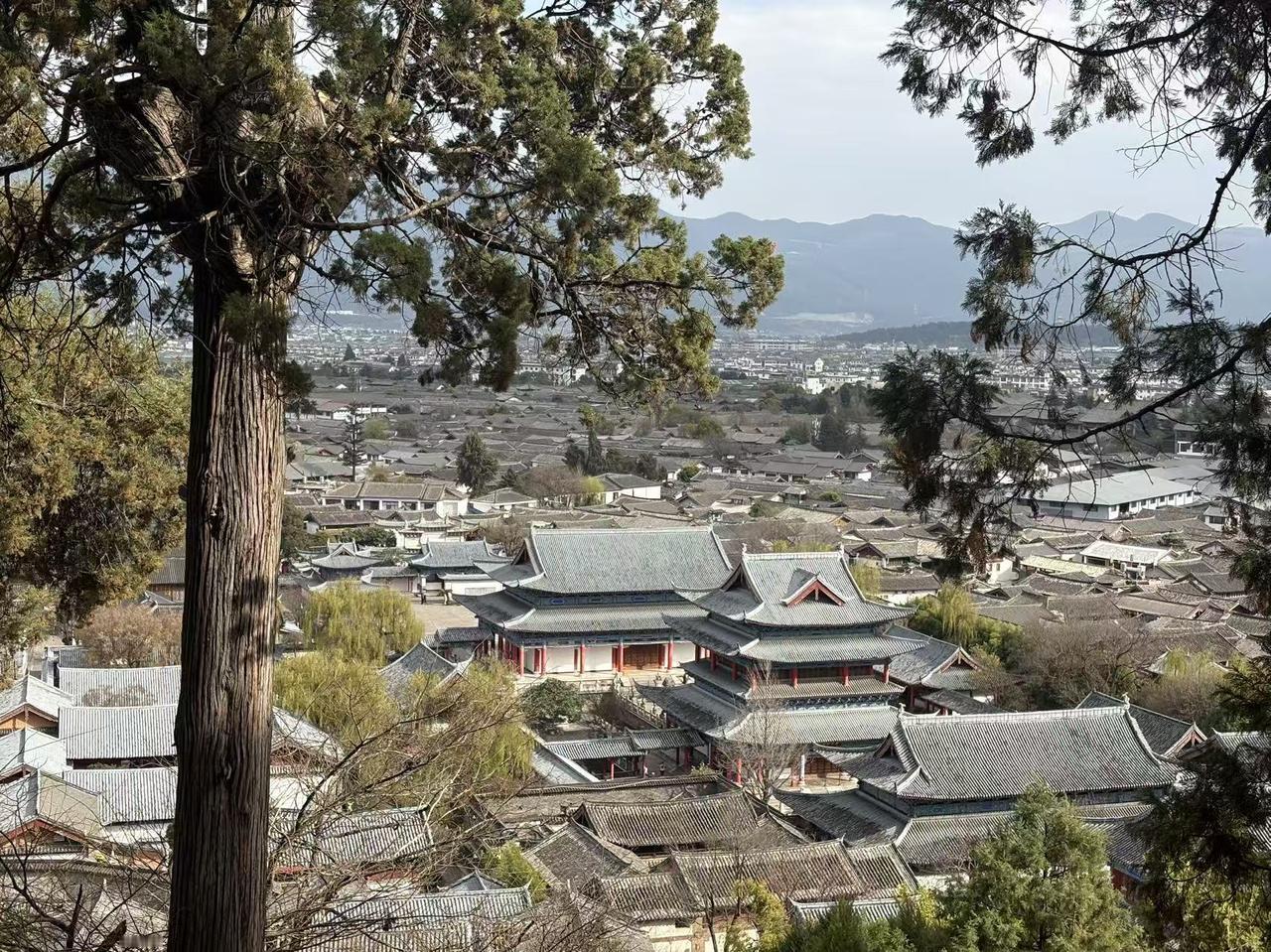 春日生活打卡季春季的景色每年各异，如同天上的云变幻莫测