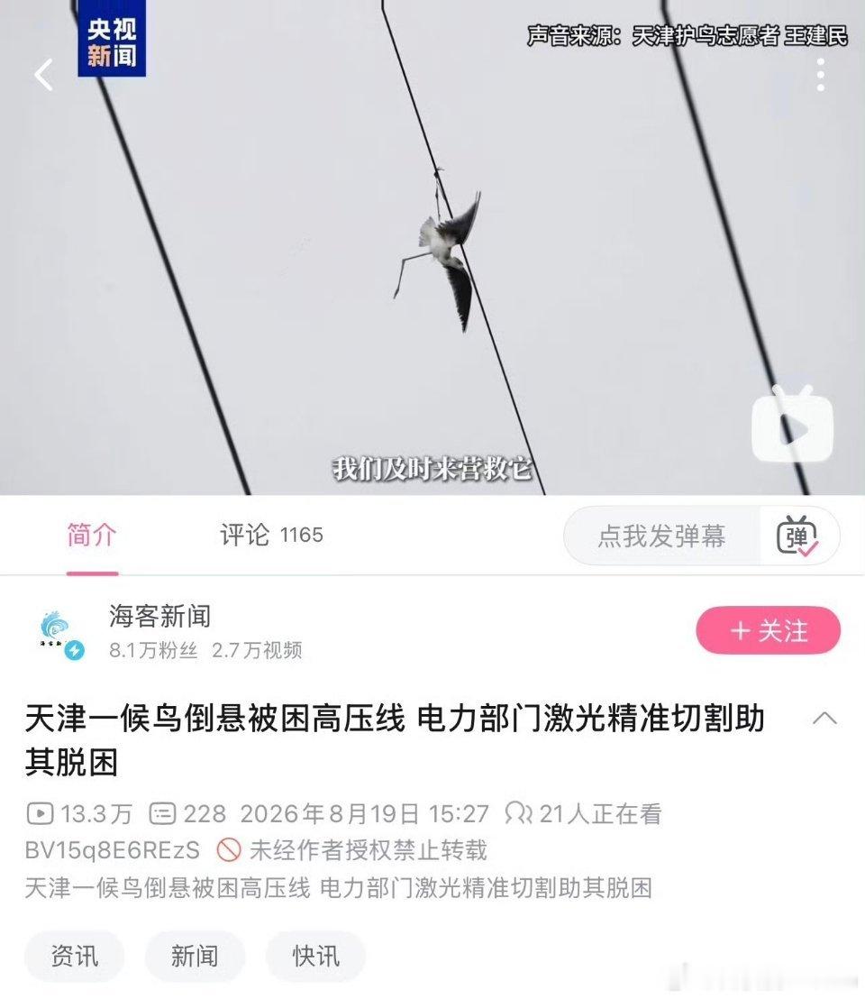 意林式救鸟 