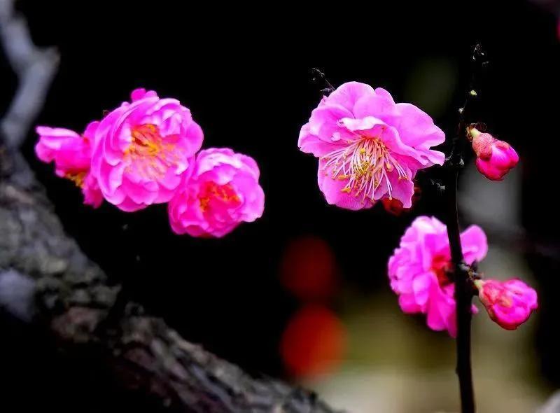 下周实盘机会与风险剖析！
本周五，沪盘盘中多次上攻均遭遇压盘，不过题材个股行情仍