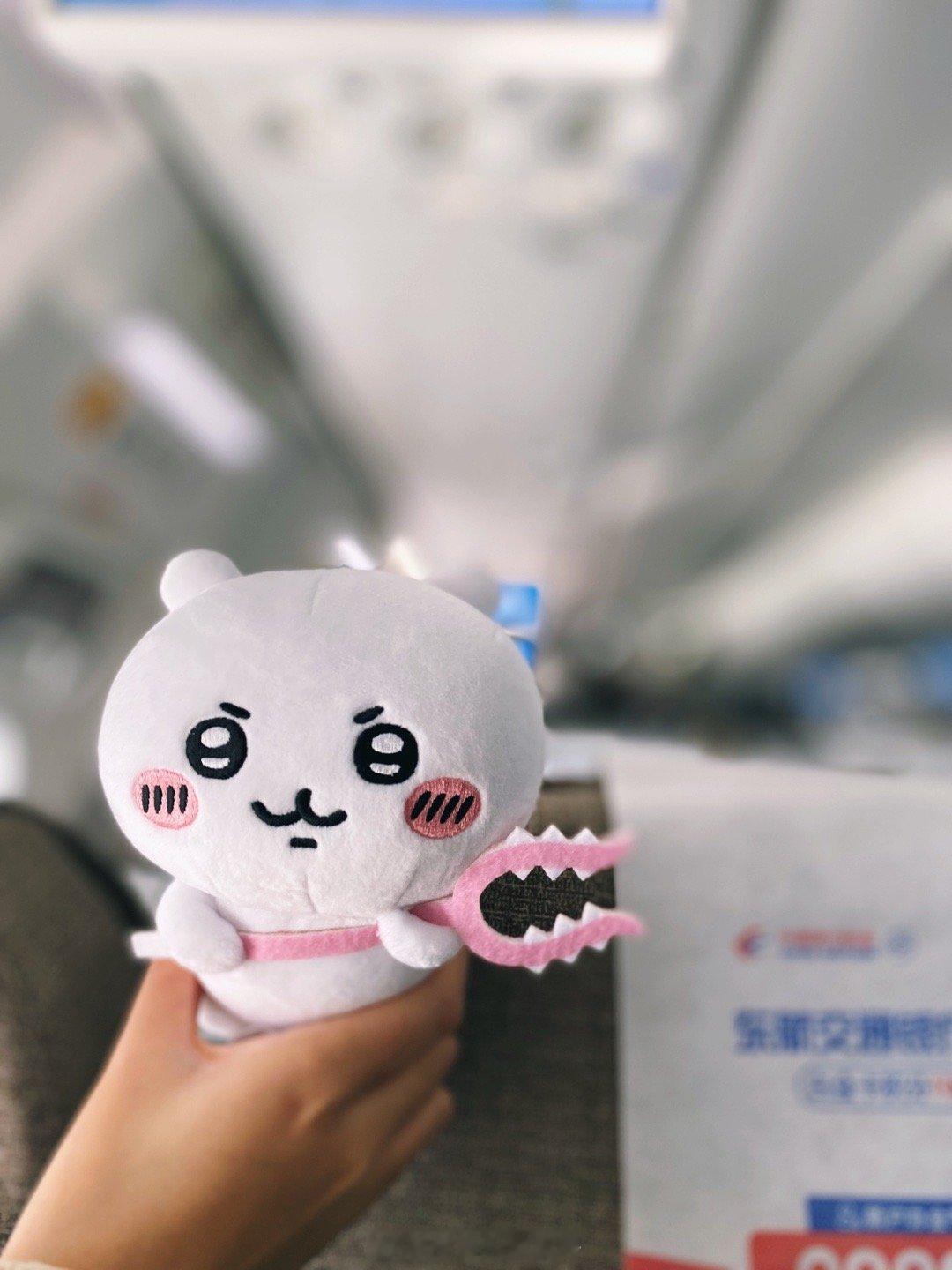 ✈️ ​​​