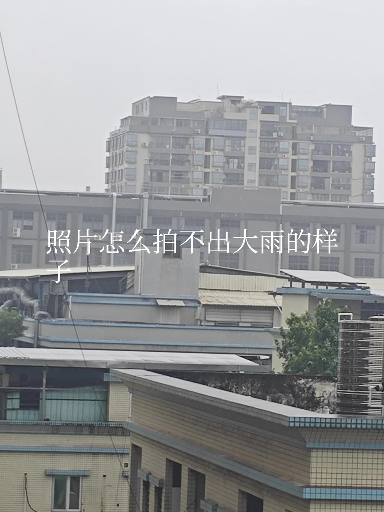 台风“桦加沙”最新消息，就在刚刚，东莞台风预警信号已经由红色降为了黄色，台风已经