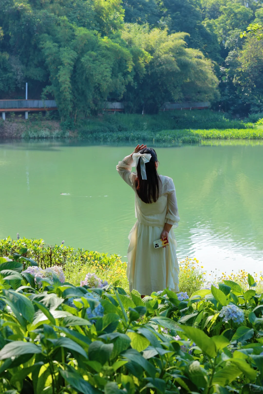 99%的人不知的宝藏公园！拍到各种花花🌸