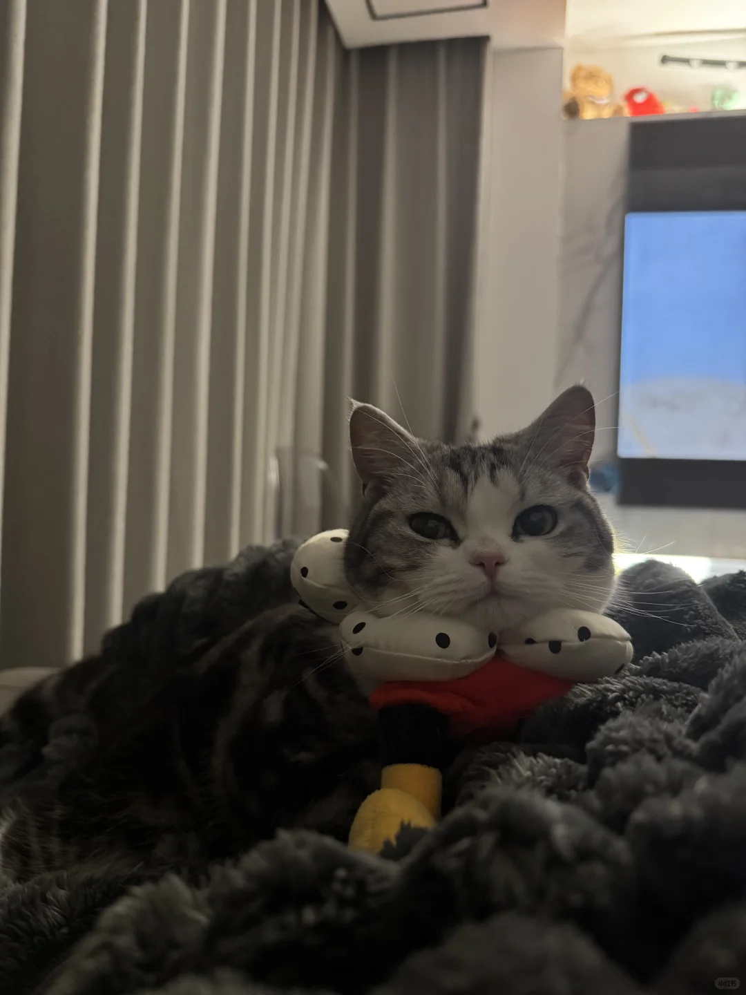 我今天和妈妈睡