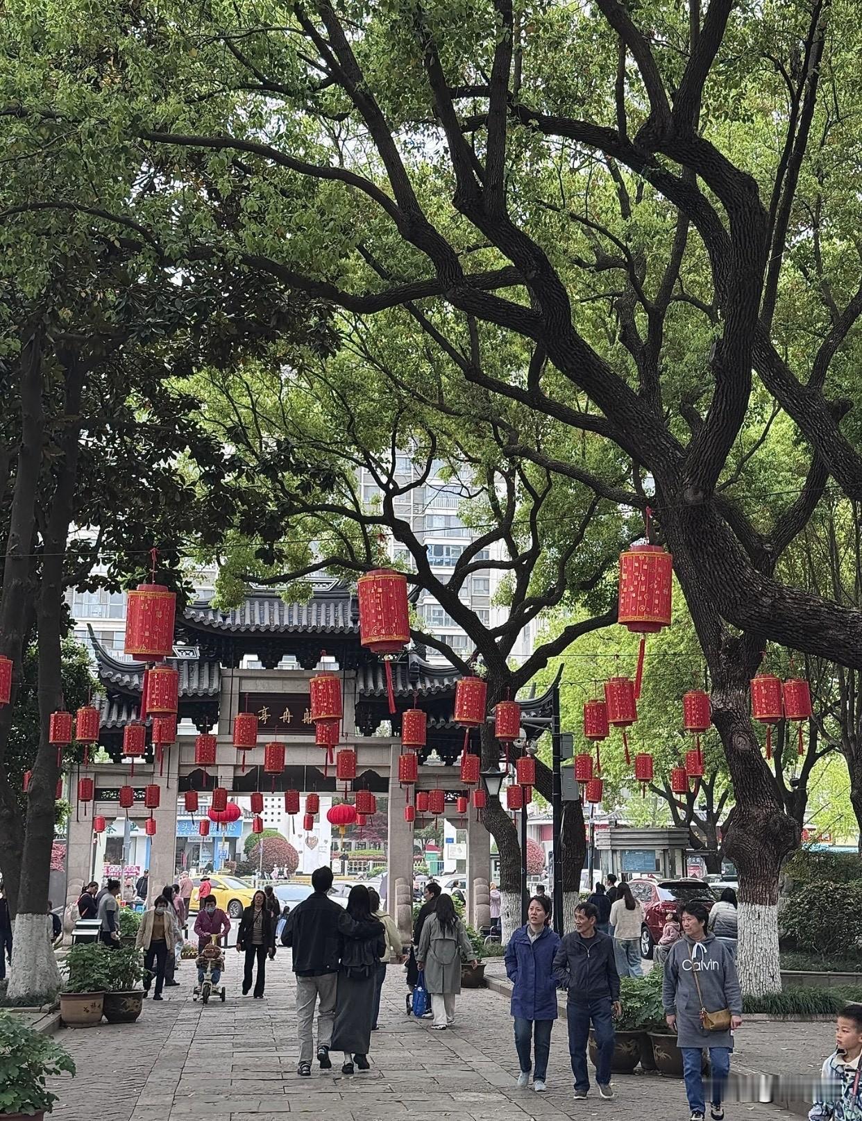 晒出你的本地生活常州东坡公园的牡丹花接近尾声了，还有为数不多的黄色及浅红色花。木