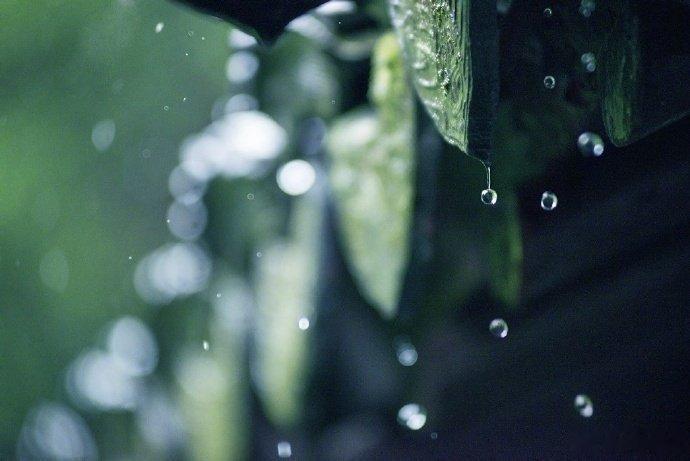 再温柔平和宁静的落雨，也有把人浸透的威力。——林清玄《玫瑰海岸》 