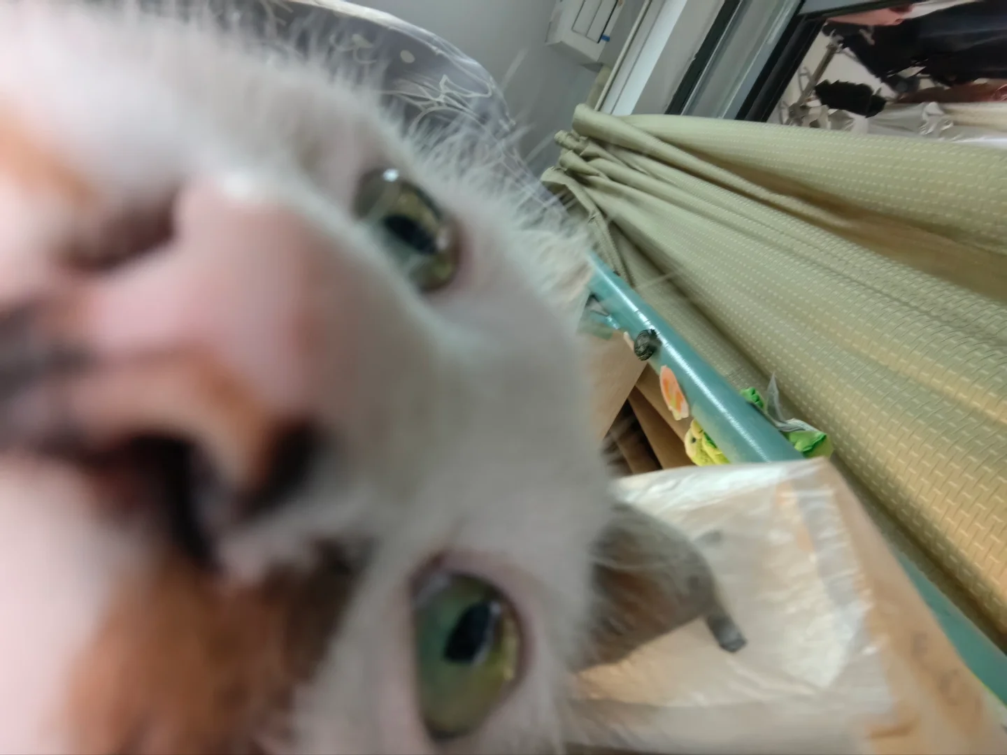 在寝室午睡起床一睁眼看到了