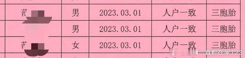 最近家里娃上的幼儿园开始报名公示了看到了小区里非常出名的三胞胎还记得第一次看到三