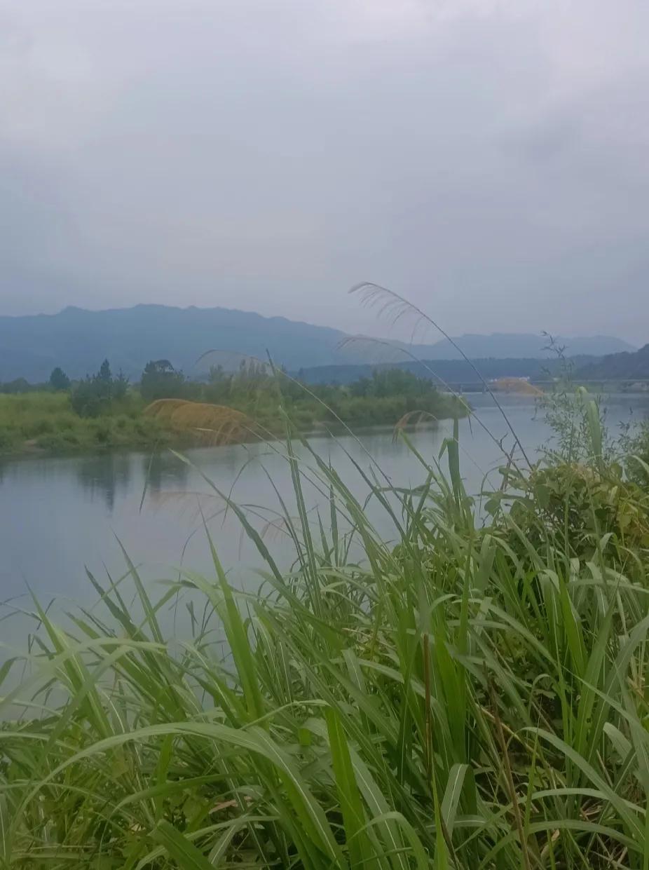 安徵泾县桃花潭一日游。
暑假的最后一个周末，带着儿子一早出发，开了四小时车、三百