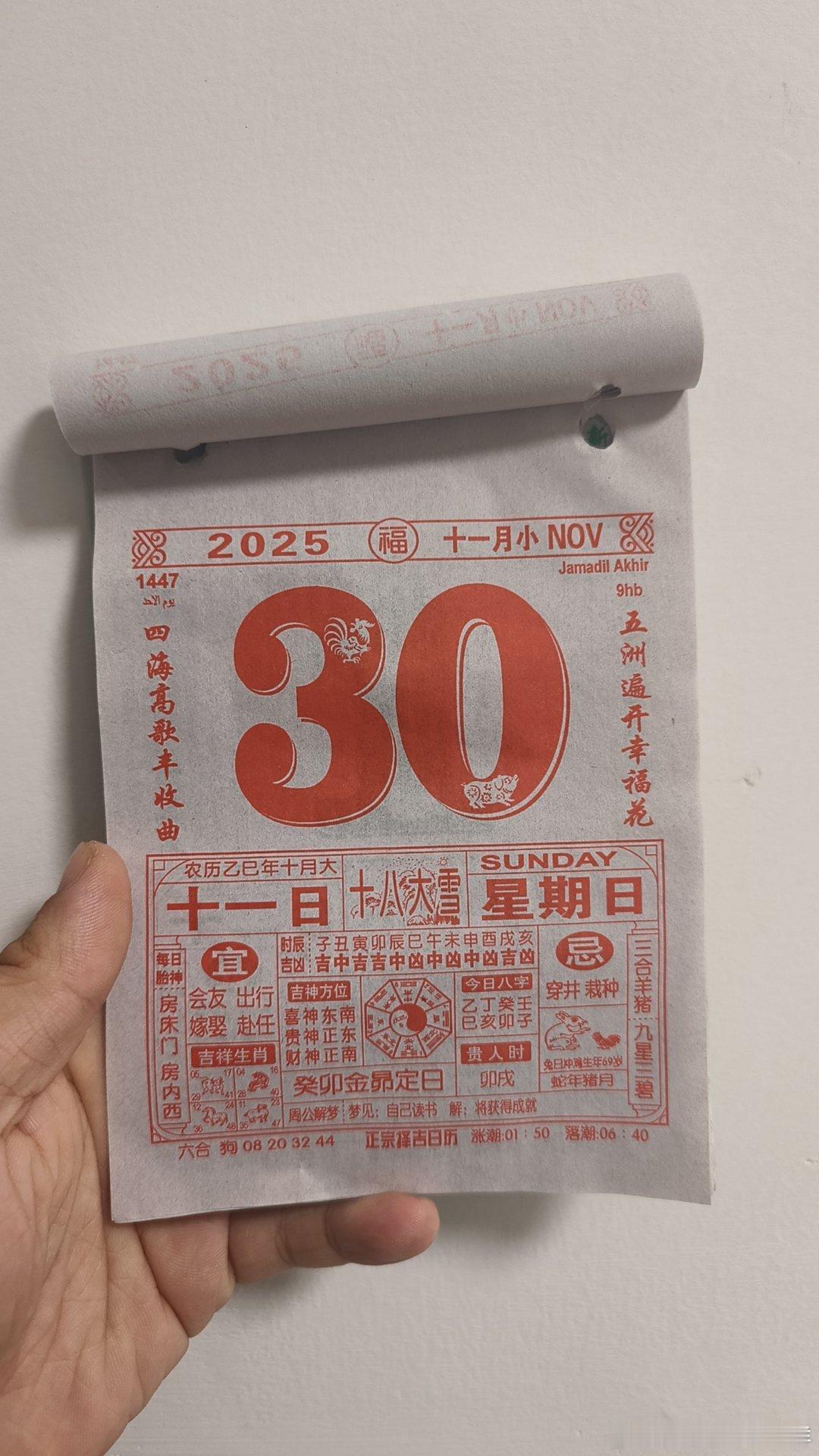 十一月门诊结束，休养生息 杭州