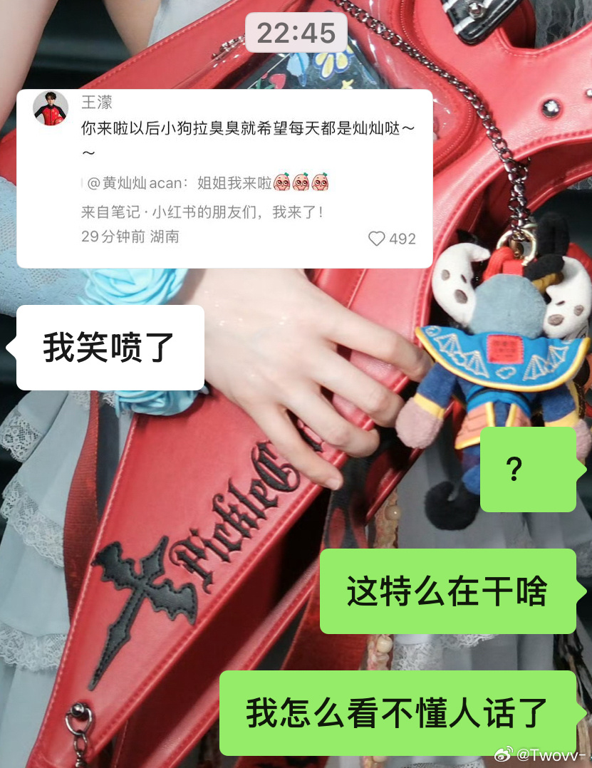 ？ 求中译中 
