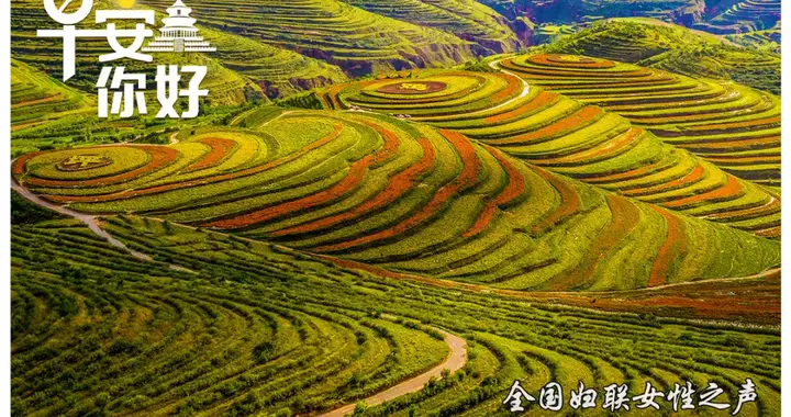 表兄妹隐瞒关系结婚，13年后离婚，法院判了；“每天都会来我家”，男子崩溃求助；女子吃火锅误食异物，取