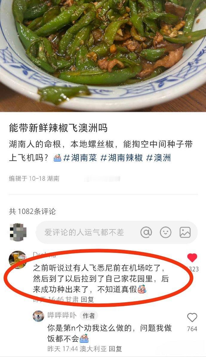 这样不会被消化掉吗？ 