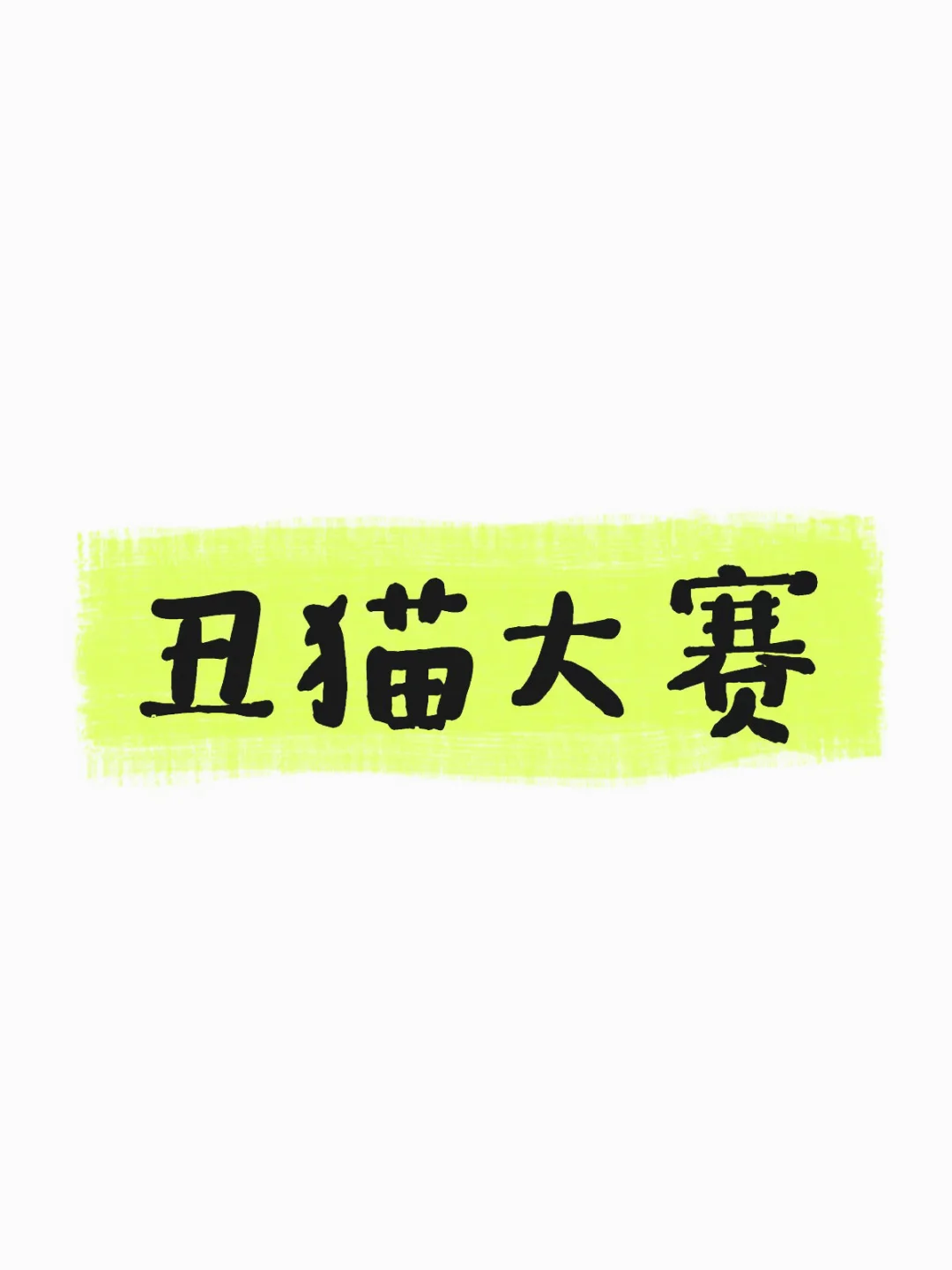 丑猫大赛