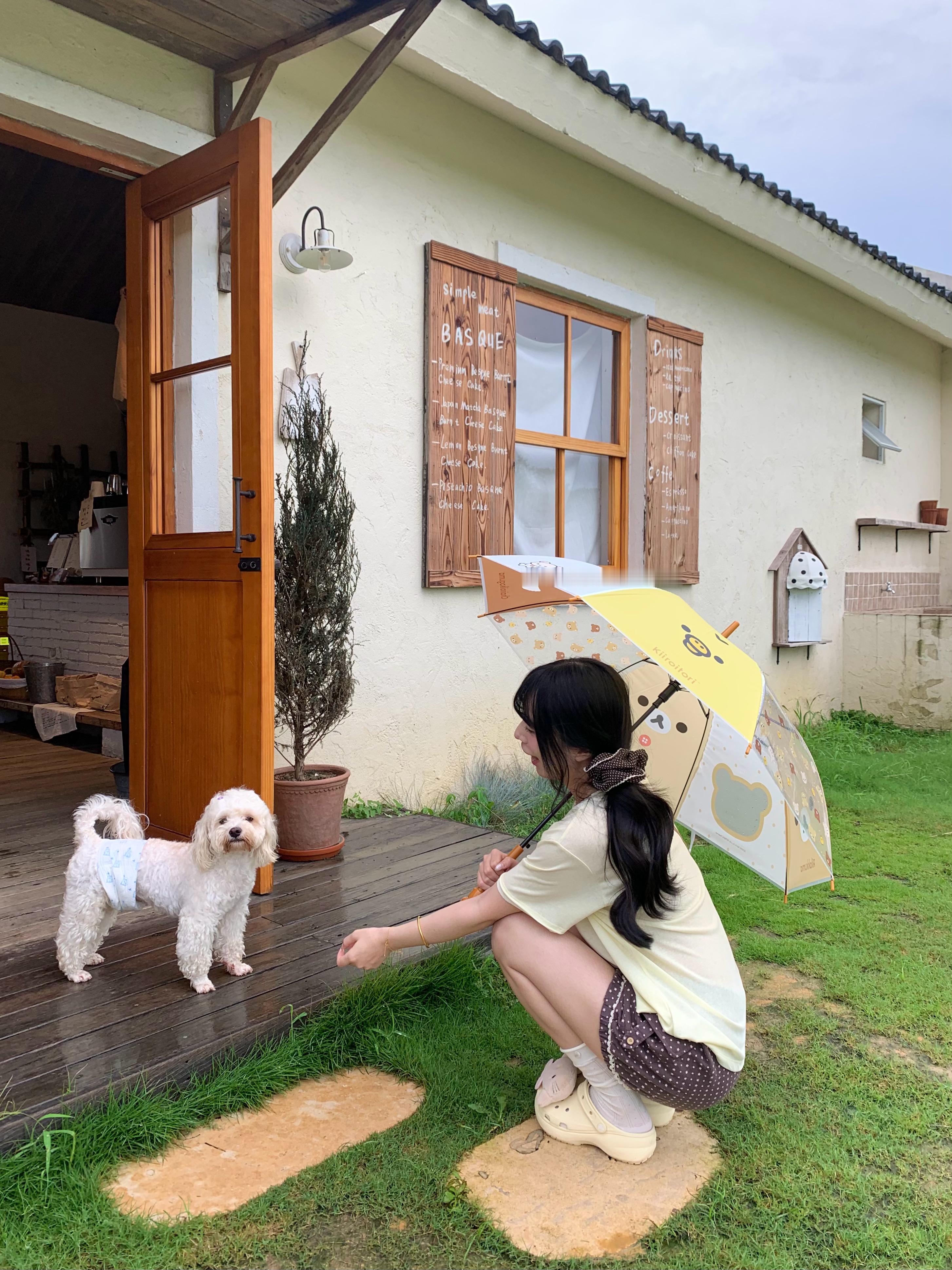 我撑把小熊伞 