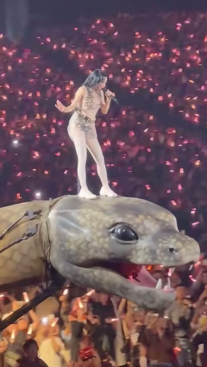 演唱会都这么卷了吗？

昨天蔡依林演唱会看了吗？蔡依林踩着大蛇出场，舞台上不仅有