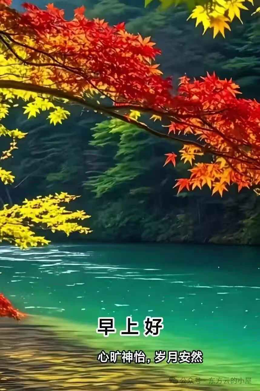 分享图片 ​​​