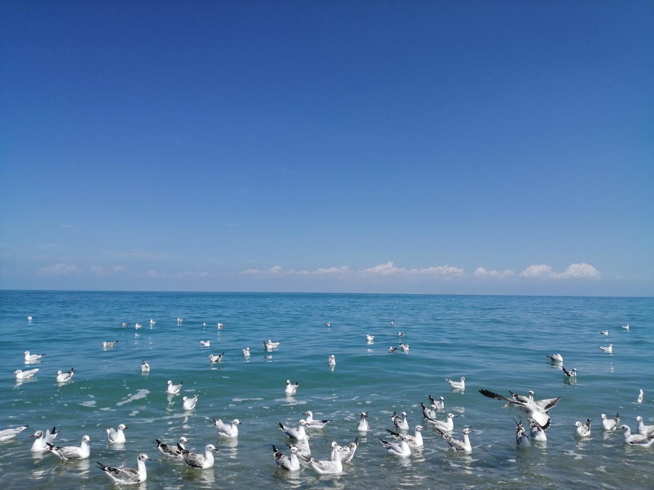 青海甘肃八日行

八月18日至八月25日，通过旅游团在青海甘肃游览了6天（两头来