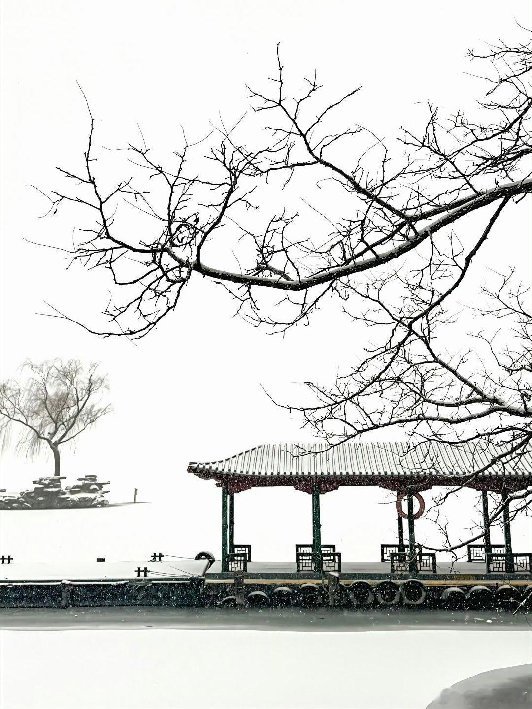 成熟不是为了走向复杂，而是为了抵达天真。——丰子恺 《丰子恺语录》 