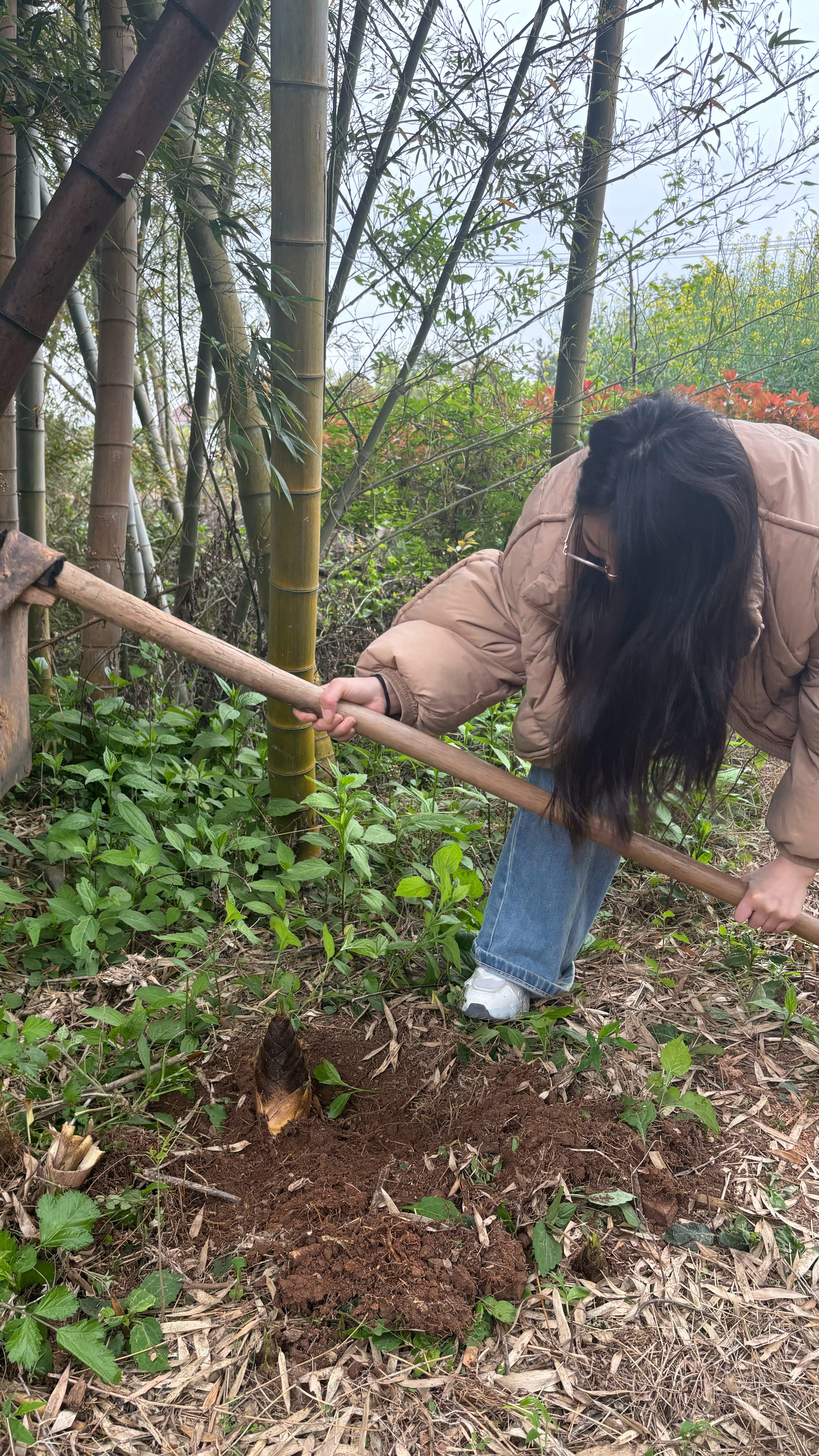 别人挖笋：满载而归，我们挖笋：姐姐挖到的笋，比弟弟挖的坑还多。弟弟全程在旁边刨土