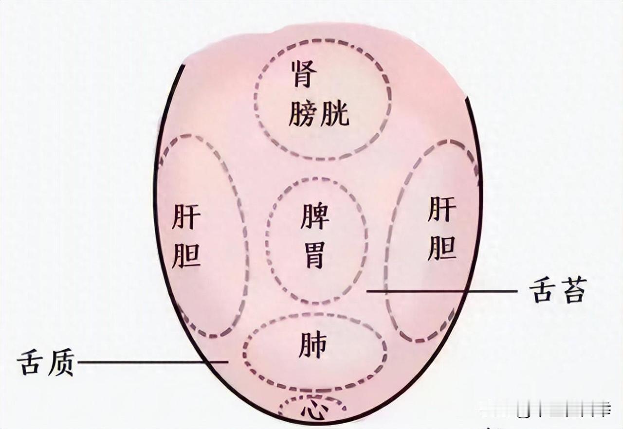 舌头有裂纹，可能不是脾虚，而是这里的问题，快来对照一下
1.舌头正中间的裂纹
这